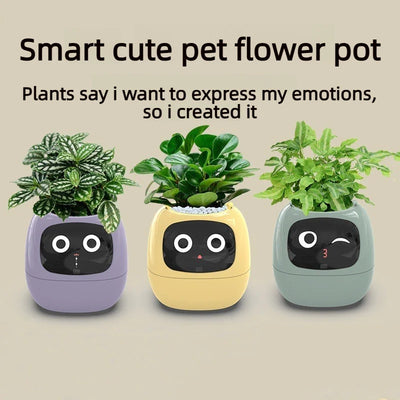 Smart planter