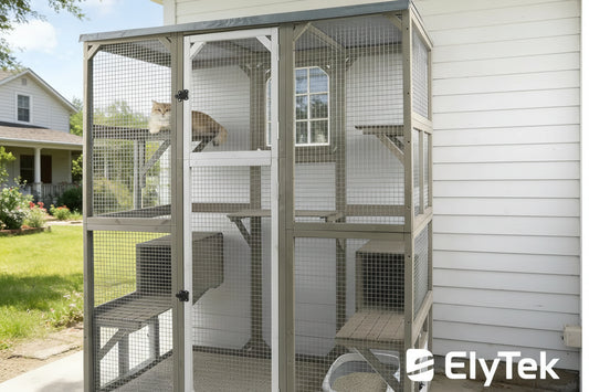 Cat Enclosure Large Window Cat House Walk in Kitty Cage with Multi-Level Platforms, Waterproof Roof for Mulitiple