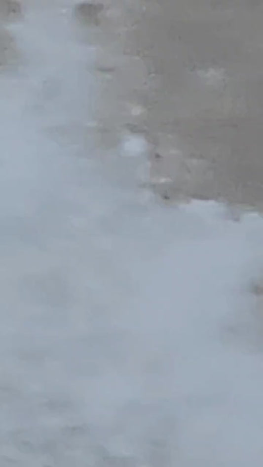 Magnetic Floating Rotating Moon Lamp with Wooden Base, 3 Color Temperature LED Night Lights of Print 3D for Unique Gifts, Room